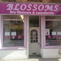 BLOSSOMS DRY CLEANERS AND LAUNDERERS 1054856 Image 0